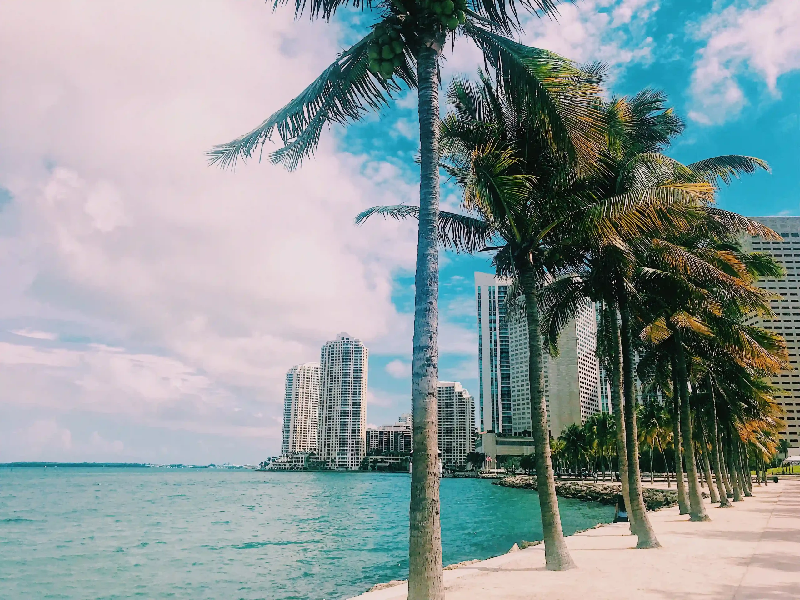 Miami City